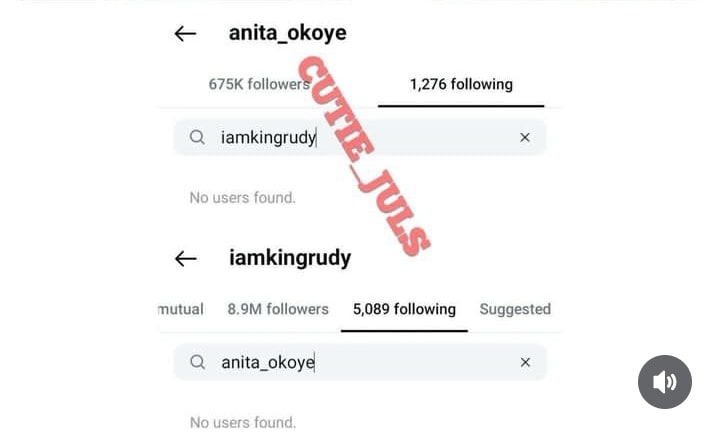 Paul Okoye unfollows Anita Okoye