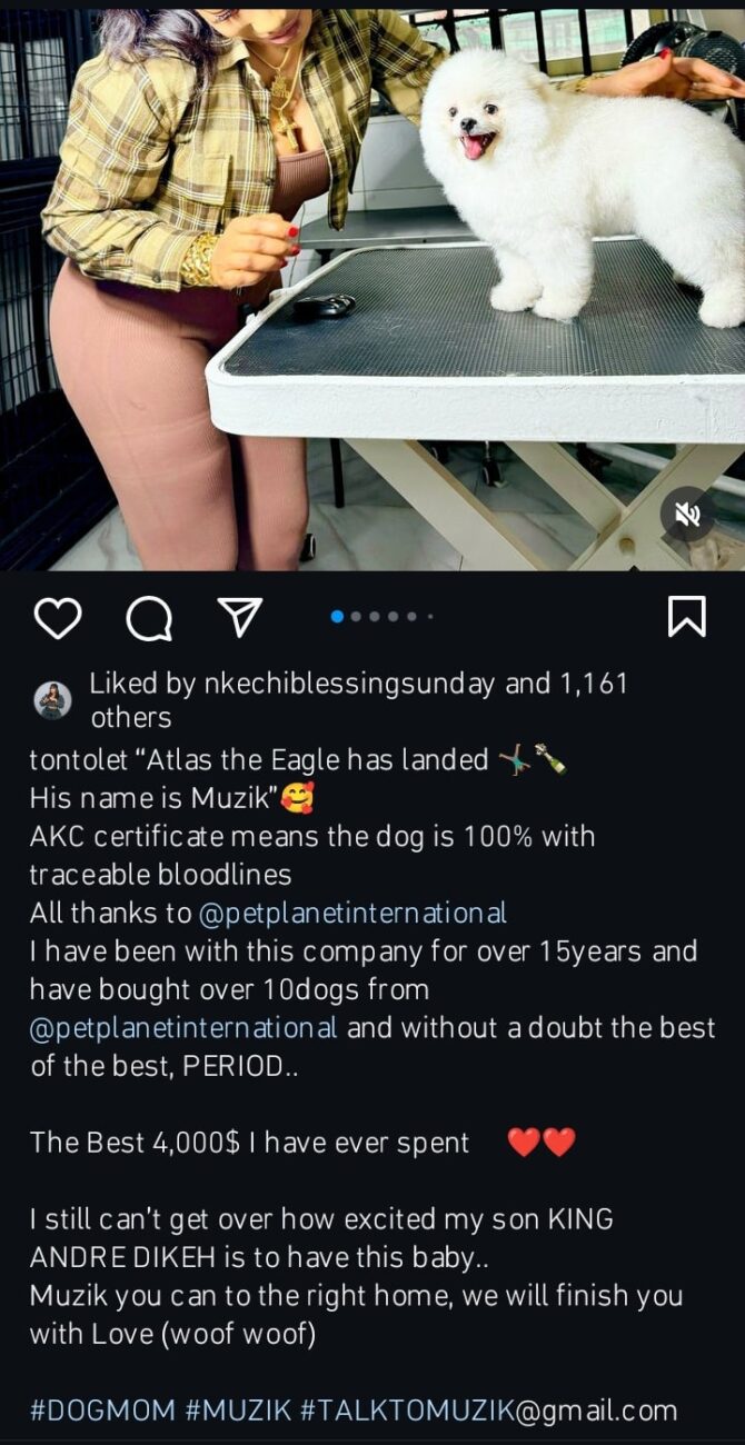 Tonto Dikeh takes delivery of her dog