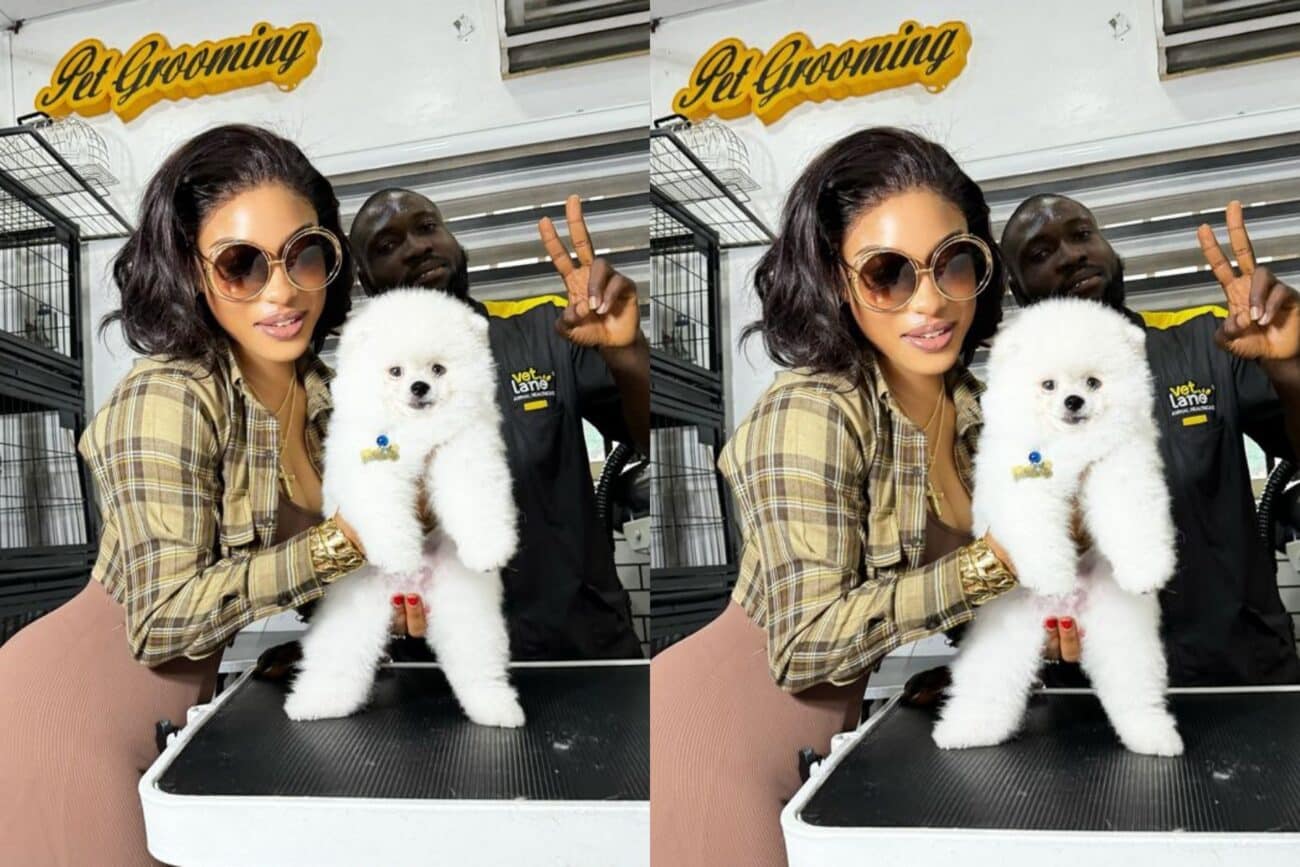 Tonto Dikeh takes delivery of her dog